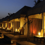 Tent Stay Ranthambore